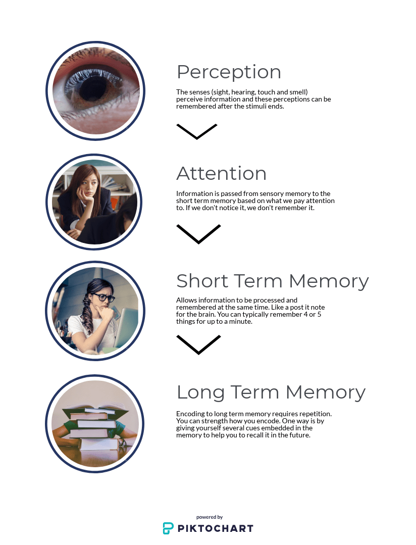 memory-encoding_30896851